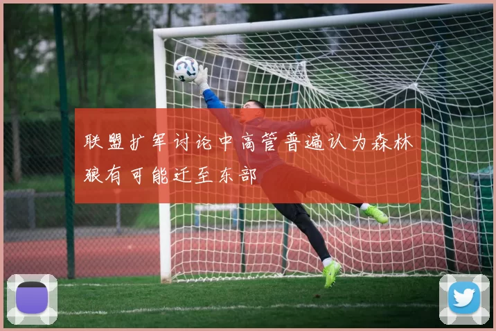 联盟扩军讨论中高管普遍认为森林狼有可能迁至东部